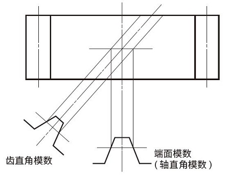 端面模数和法向模数