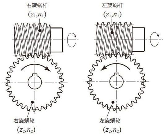 (D)蜗杆蜗轮